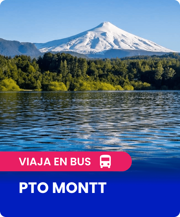 Pasajes en bus desde Santiago a Puerto Montt