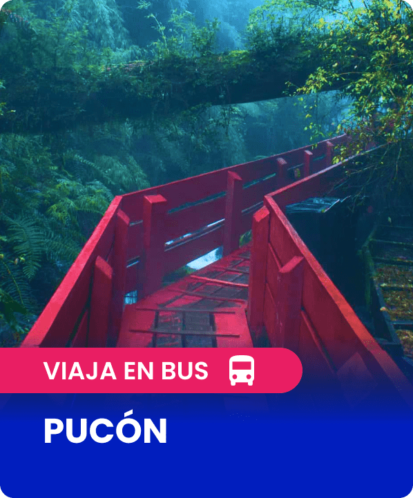 Pasajes en bus desde Santiago a Pucón