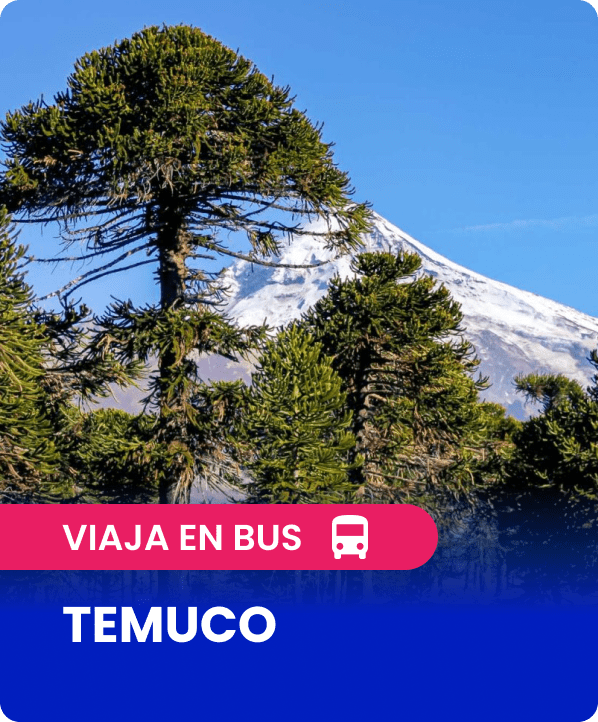 Pasajes en bus desde Santiago a Temuco